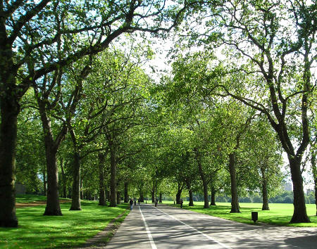 Lover's Walk in Hyde Park, London